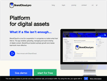 Tablet Screenshot of brandcloud.pro